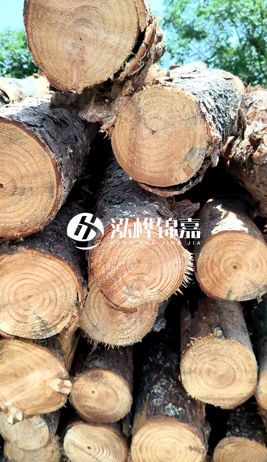 周口挖機(jī)打木樁專業(yè)施工-杉木樁施工打樁怎么打？