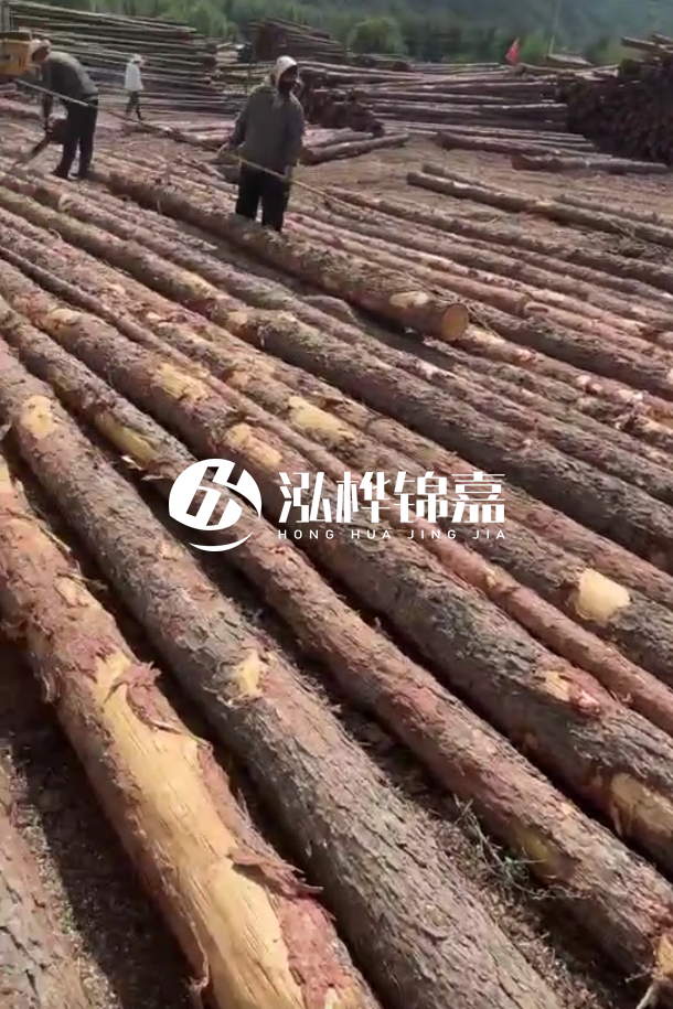 ?？谒赡緲对搭^廠家-松木樁最長(zhǎng)可以做多少米？