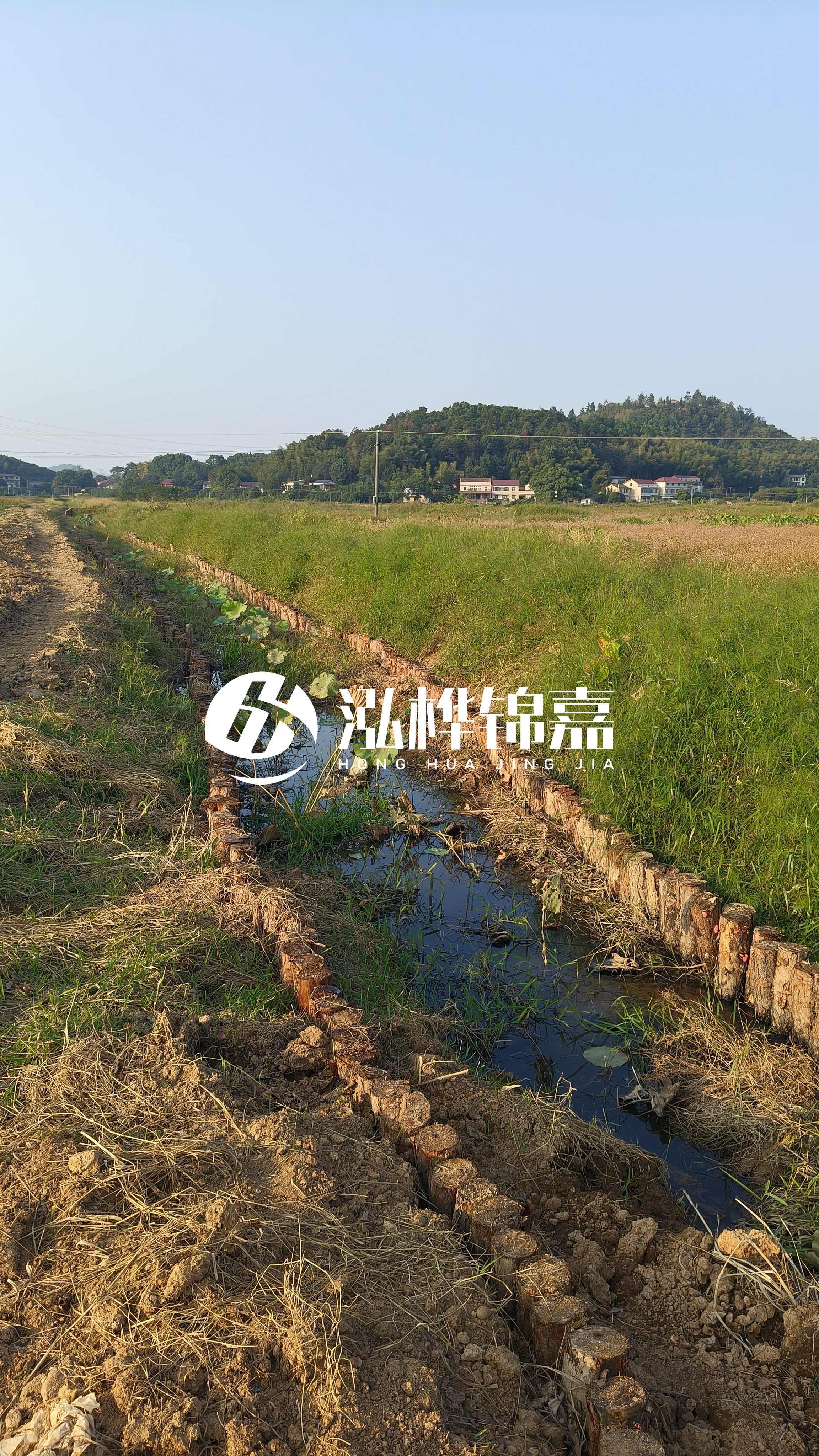 河道護坡打木樁的目的全解析：你知道幾個？