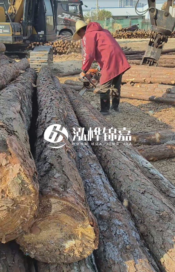 長(zhǎng)沙打樁木批發(fā)廠家在哪里？聯(lián)系方式是什么？