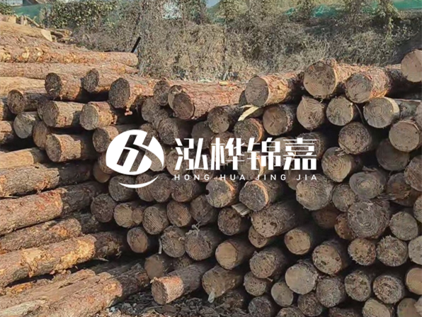 落葉松木材的主要產(chǎn)地在哪里？為什么比其他松木更耐腐蝕？