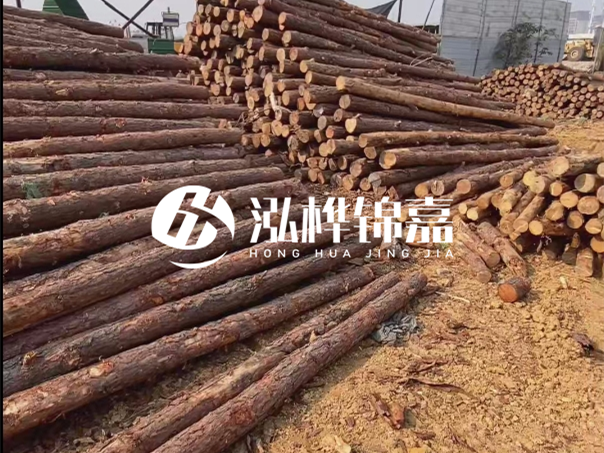 河道木樁施工遇到淤泥怎么辦？打多深才能防沖刷？