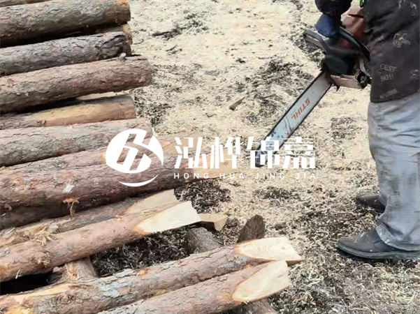 杉木樁批發(fā)廠家哪家好？產(chǎn)地直供渠道推薦！