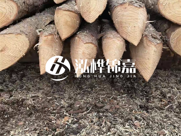 打樁木樁與鋼樁相比有哪些優(yōu)缺點(diǎn)？如何進(jìn)行后期維護(hù)？