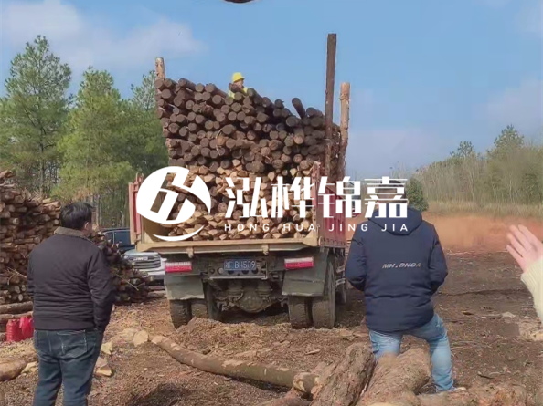 松木樁價(jià)格是按米算還是按根算？6米松木樁批發(fā)價(jià)每根多少錢？