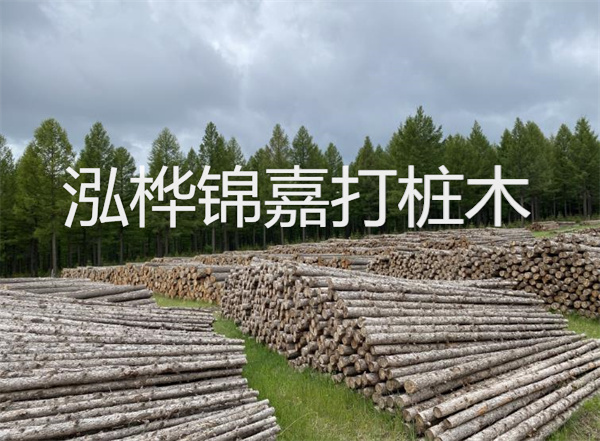 松木樁施工示意圖，了解施工過程，保證工程質(zhì)量