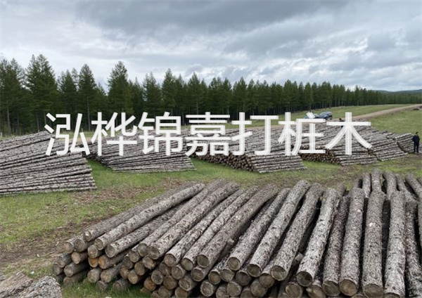 太原河道松木樁施工公司，專注優(yōu)質工程建設