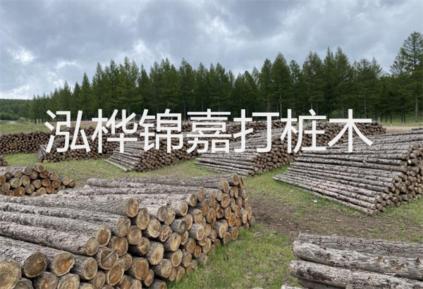 砼仿松木樁河岸施工，保護(hù)生態(tài)，打造美麗城市