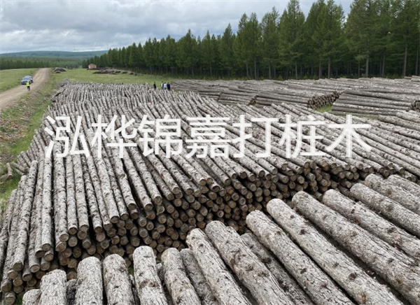 松木樁施工機(jī)械河到，輕松解決施工難題
