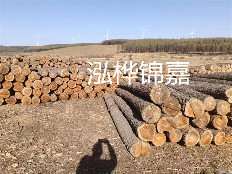 松木樁施工檢查與驗收