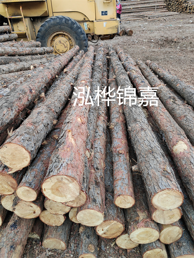 探索創(chuàng)新的仿松木樁施工工法，保護環(huán)境與提高效率并重